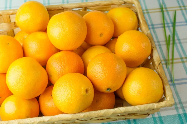 Tangerines — Stock Photo, Image