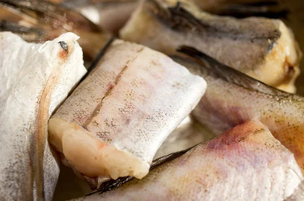 Balık, walleye pollock, alaska pollock