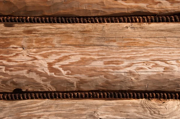 Part of wood — Stock Photo, Image