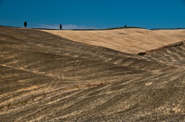 Tuscan kırsal, İtalya