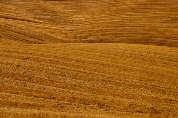 Teren agricol fundal — Fotografie, imagine de stoc