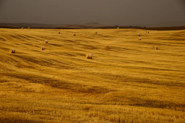 Bal med hö i Toscana, Italien — Stockfoto