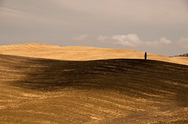 Toscaans landschap — Stockfoto