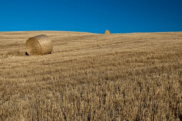 Jordbruksmark i Toscana, Italien — Stockfoto