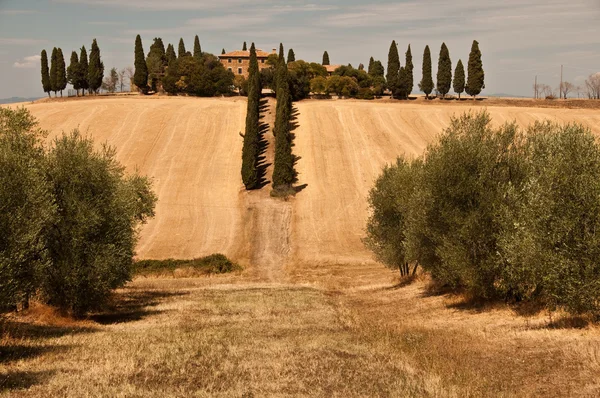 Toscana i höst — Stockfoto