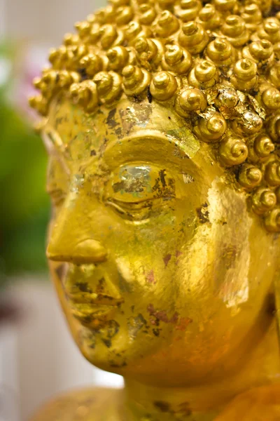 Close up golden buddha statue — Stock Photo, Image
