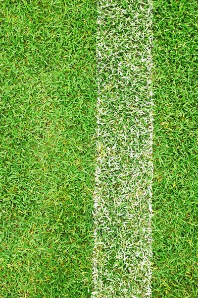 Striscia bianca sull'erba verde — Foto Stock