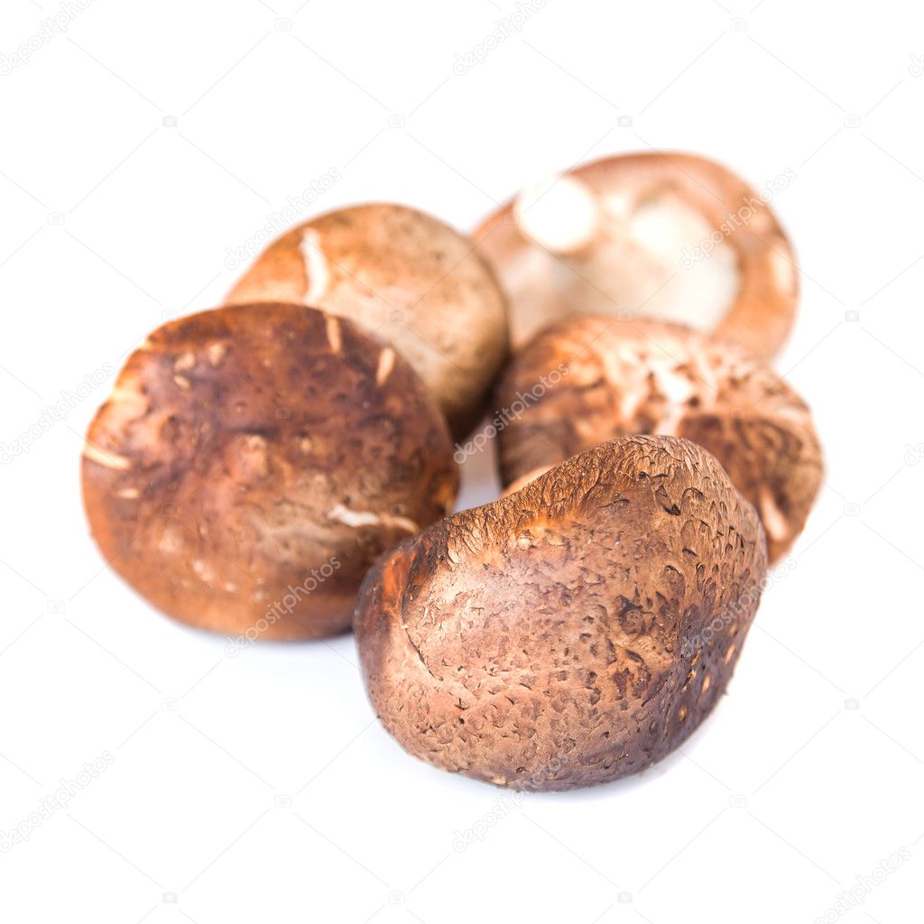 Small group of japanese mushrooms, isolated on white background