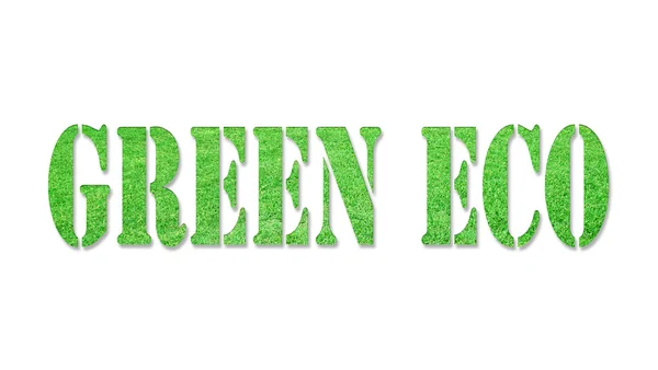 Das Wort grüne Öko aus dem grünen Gras, isoliert auf weißem Grund — Stockfoto