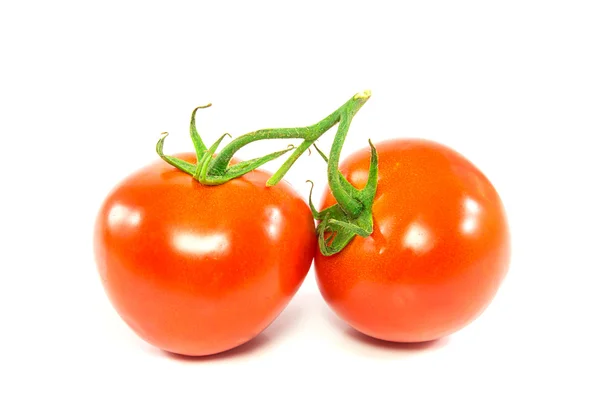 Deux tomates rouges fraîches sur fond blanc — Photo