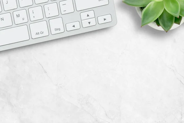 Top view with laptop keyboard and flower on white marble background. space for design. Business marketing promotion concept.