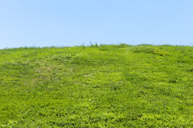 Çimen ve Gökyüzü