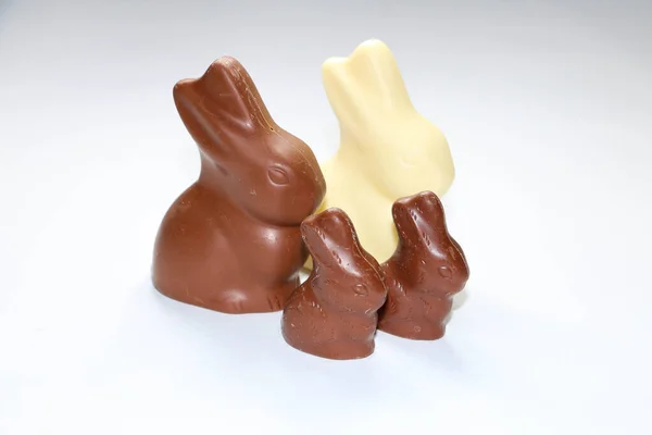 chocolate easter bunnies family of different chocolate colors on a white background