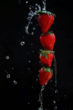 Bir sıra kırmızı çilek, siyah arka planda bol miktarda suyla sulanır.