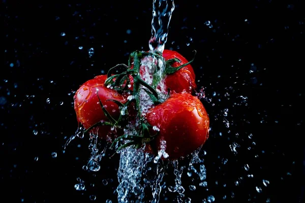 Soczyste Czerwone Pomidory Oblane Dużą Ilością Wody Czarnym Tle — Zdjęcie stockowe