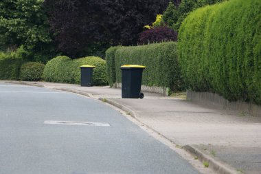 Plastik çöp bidonları yol kenarında bir sırada duruyor.