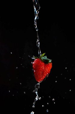 Kırmızı çilekler, siyah arka planda bol miktarda suyla sulanır.