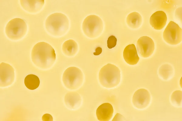 stock image Cheese texture