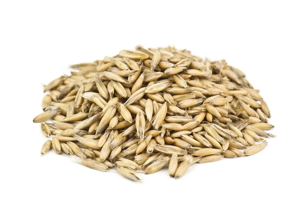 Heap of oat — Stock Photo, Image