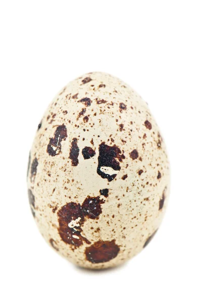 Huevo de codorniz sobre blanco — Foto de Stock