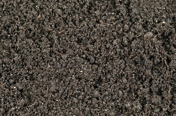 Textura del suelo —  Fotos de Stock