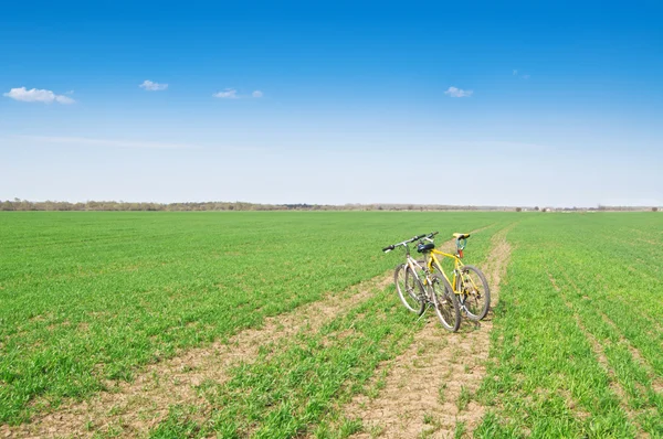 Cyklar på fältet väg — Stockfoto