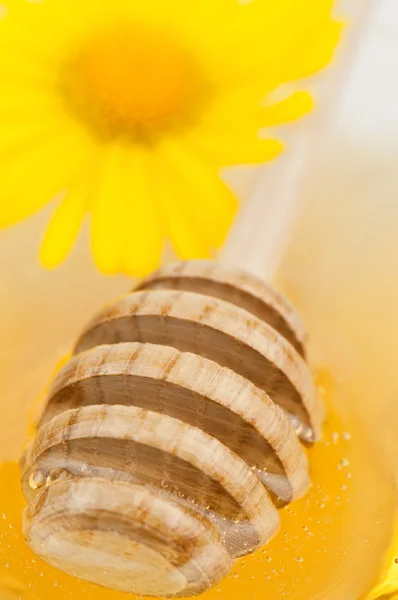 Honey and flower — Stock Photo, Image