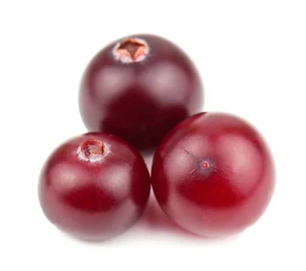 Three ripe cranberry — Stock Photo, Image