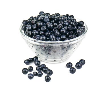 bardak yaban mersini