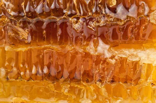 Honeycomb texture — Stock Photo, Image