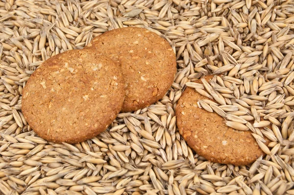 Biscotti di farina d'avena — Foto Stock