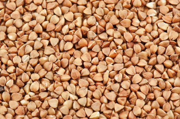 Buckwheat texture — Stock Photo, Image