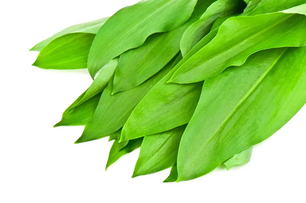 Wild garlic — Stock Photo, Image