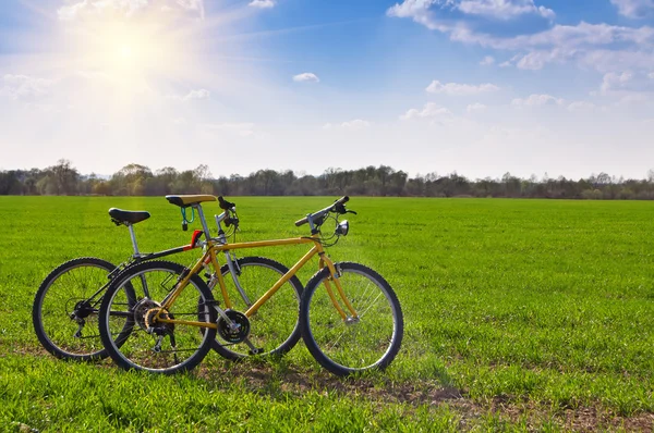 Två cyklar i ett fält — Stockfoto