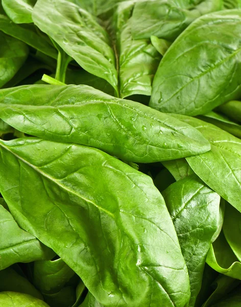 Raw spinach — Stock Photo, Image