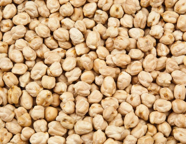 Chickpea texture — Stock Photo, Image