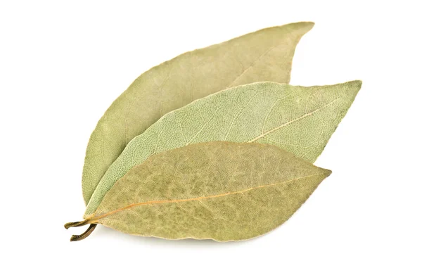 Trzy liście laurowe — Zdjęcie stockowe