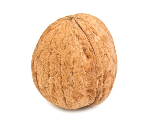 One walnut — Stock Photo, Image