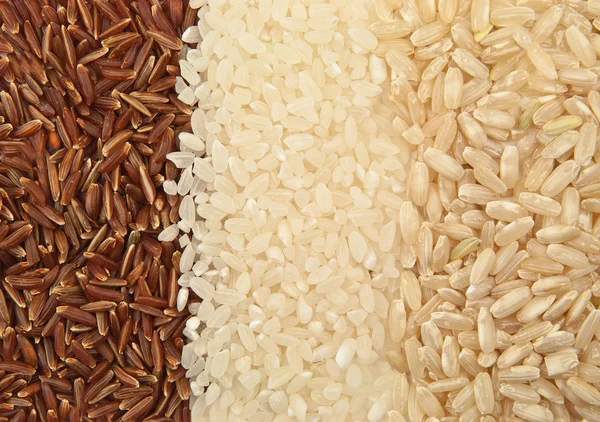 三个品种的大米 — 图库照片