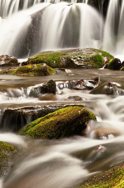 Waterfall and stones — Stock Photo, Image