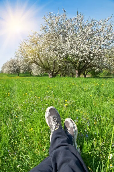 Menschliche Beine — Stockfoto