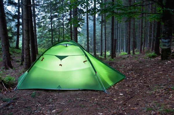 Tent in het bos — Stockfoto