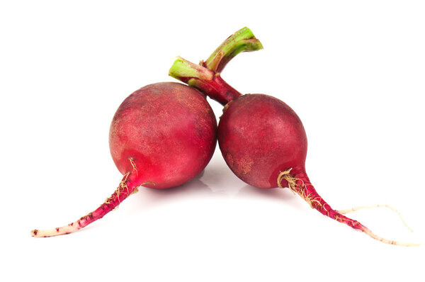 two radish