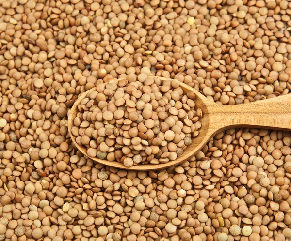 Lentils — Stock Photo, Image