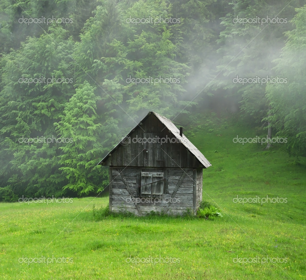 cabaña abandonada — Foto de stock © Vovashevchuk #49168333