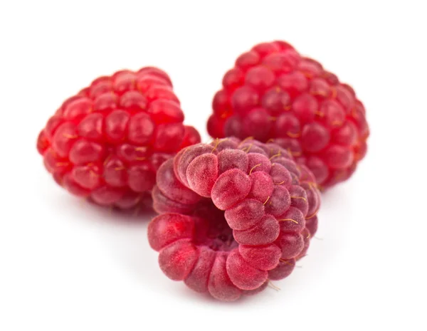 Three raspberries — Stock Photo, Image