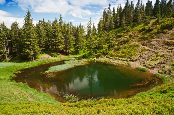 Lake in forest Stock Photo