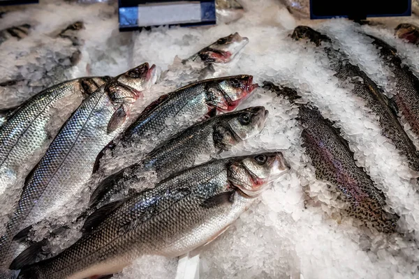 Fresh Seabass Dicentrarchus Labrax Ice Fish Market — Fotografia de Stock