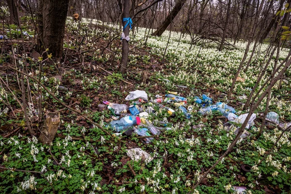 Különböző Műanyag Szemét Tavaszi Erdőben — Stock Fotó