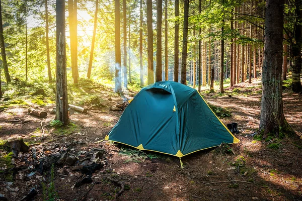 日の出の森の牧草地にテントのビュー キャンプ場でのサンビームと森の中の観光テント — ストック写真